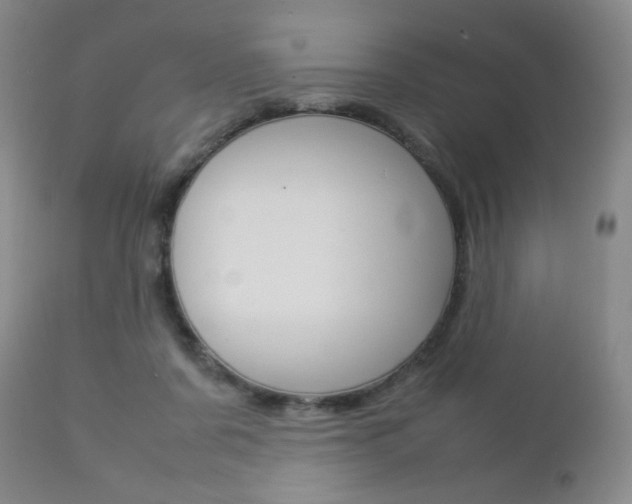 X0000112770311200908201356