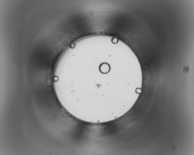 X0000112770313200908201356