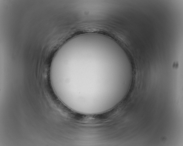X0000112770315200908201356