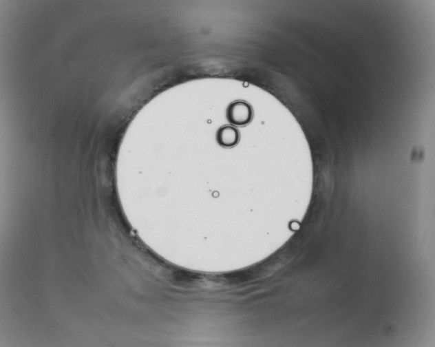 X0000112770317200908201356