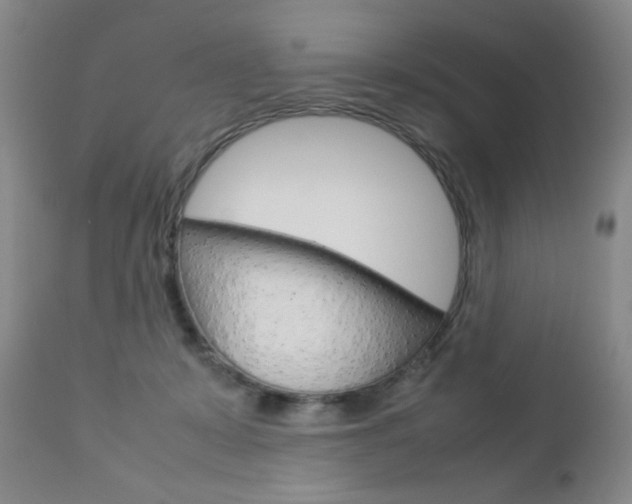 X0000112770319200908201356