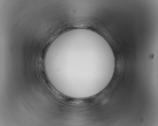X0000112770322200908201356