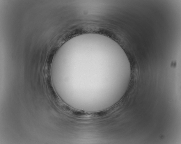X0000112770323200908201356