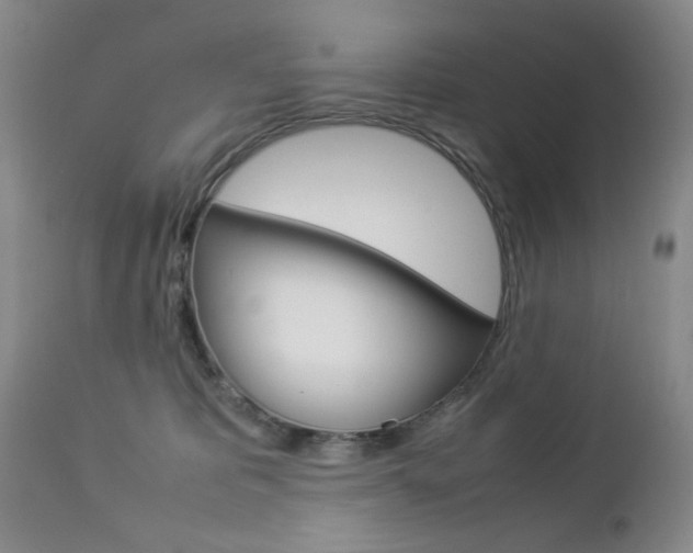 X0000112770325200908201356