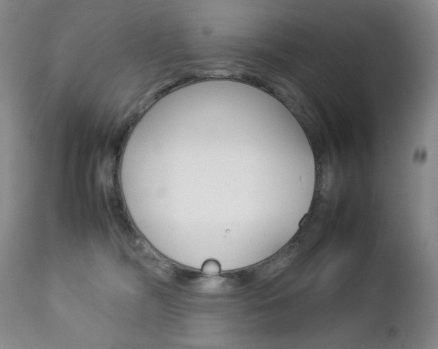 X0000112770326200908201356