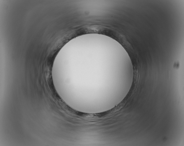X0000112770331200908201356
