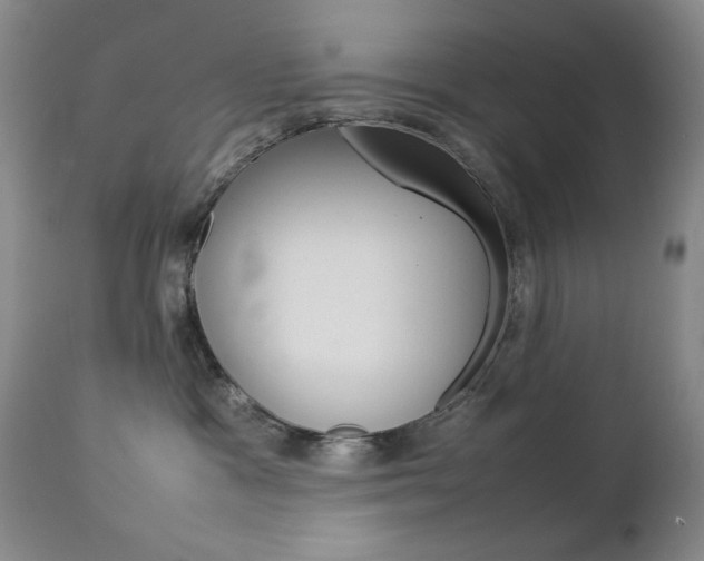 X0000112770333200908201356