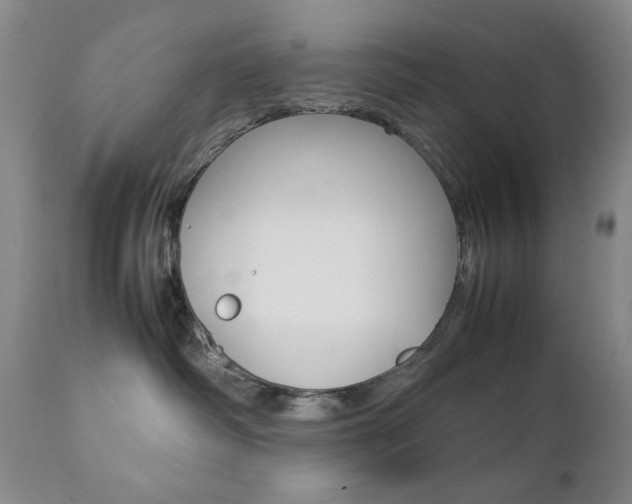 X0000112770334200908201356
