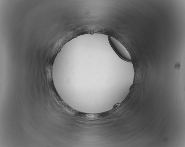 X0000112770335200908201356