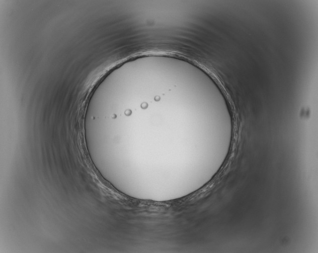 X0000112770337200908201355