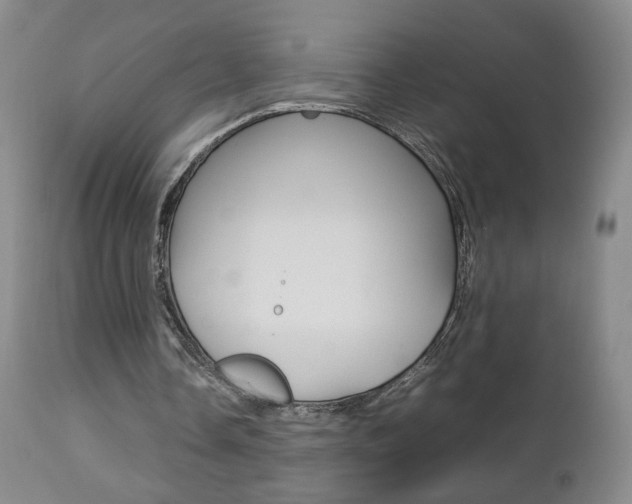 X0000112770338200908201355