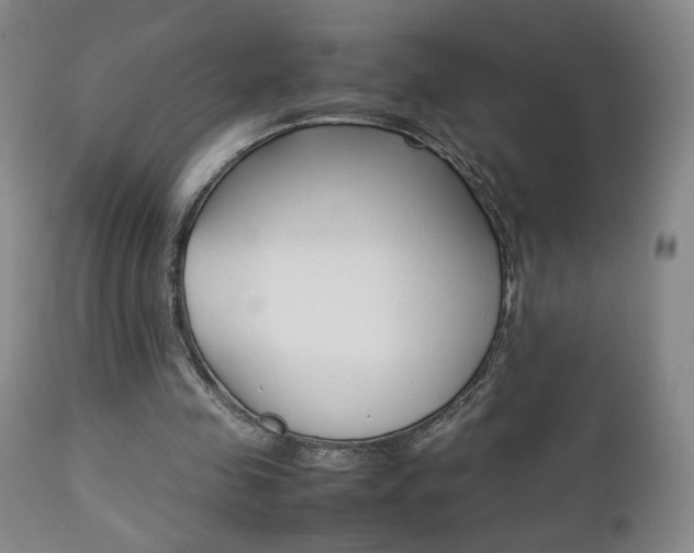 X0000112770341200908201355