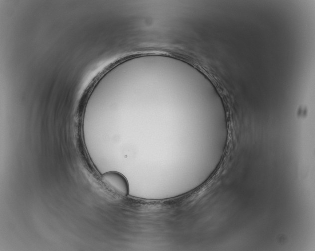 X0000112770342200908201355