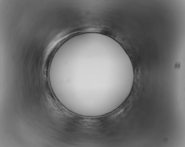 X0000112770343200908201355