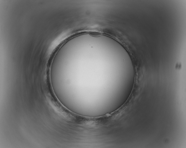 X0000112770344200908201355