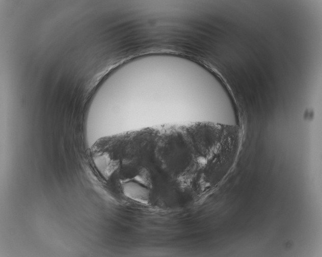 X0000112770345200908201355