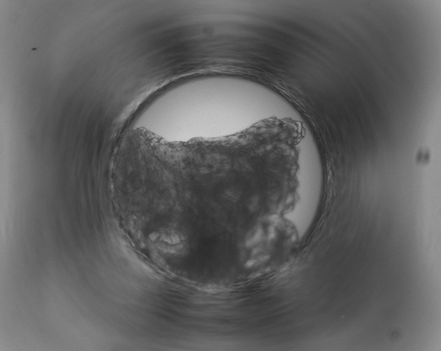 X0000112770347200908201355