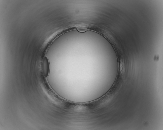 X0000112770348200908201355