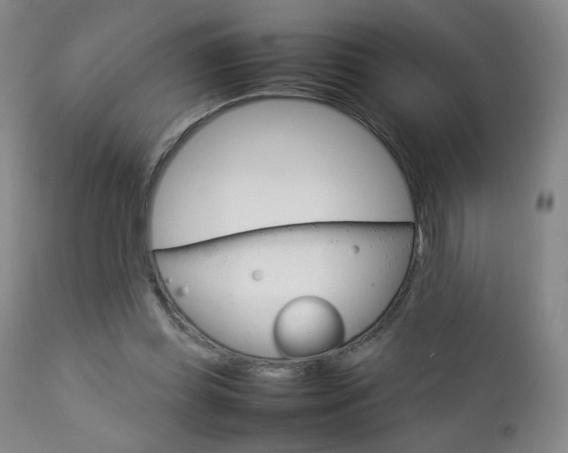 X0000112770349200908201355