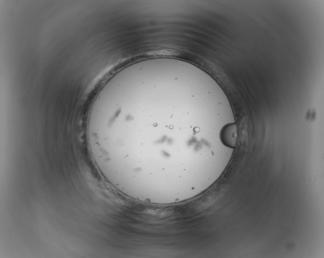 X0000112770351200908201355