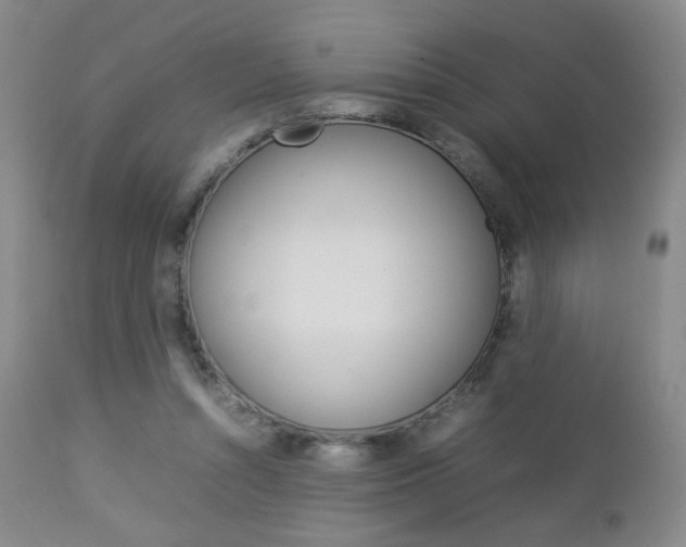 X0000112770352200908201355