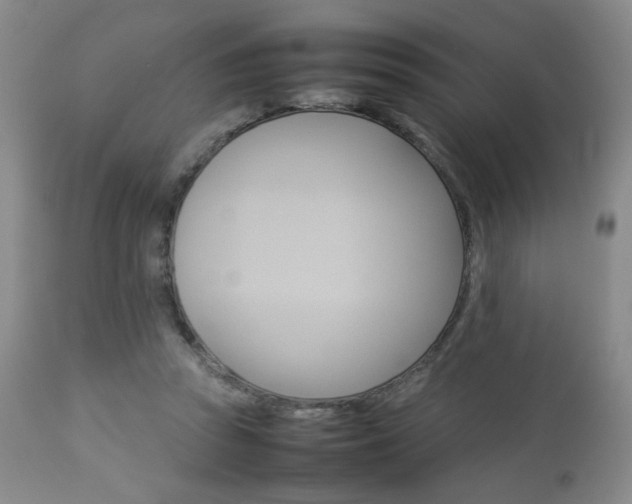 X0000112770353200908201355