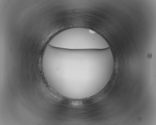 X0000112770355200908201355