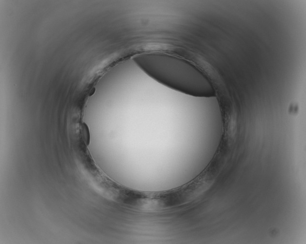 X0000112770356200908201355