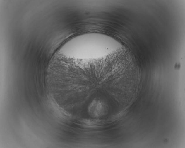 X0000112770359200908201355