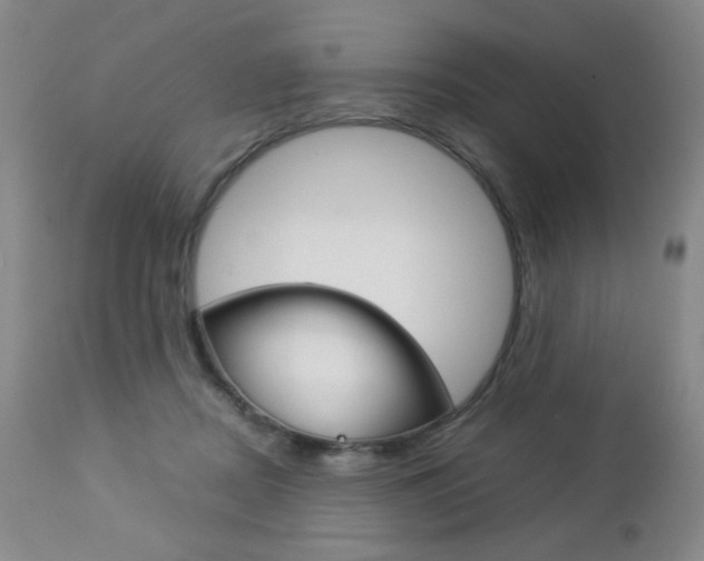 X0000112770362200908201356