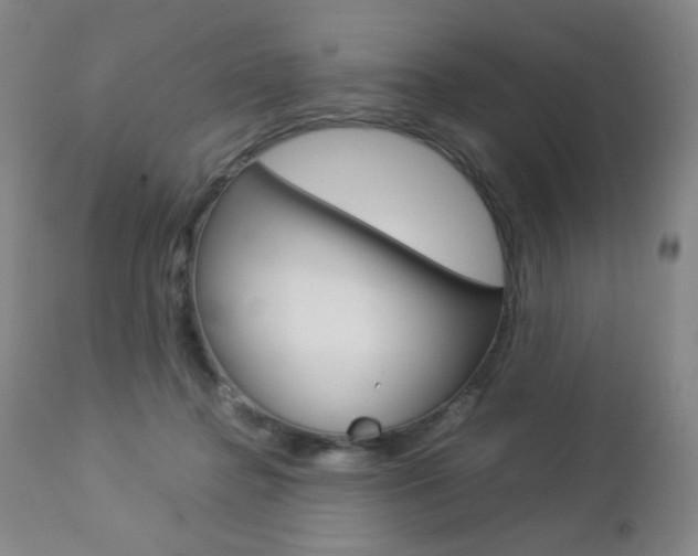 X0000112770364200908201356