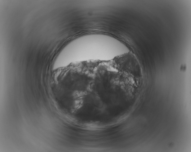 X0000112770365200908201356