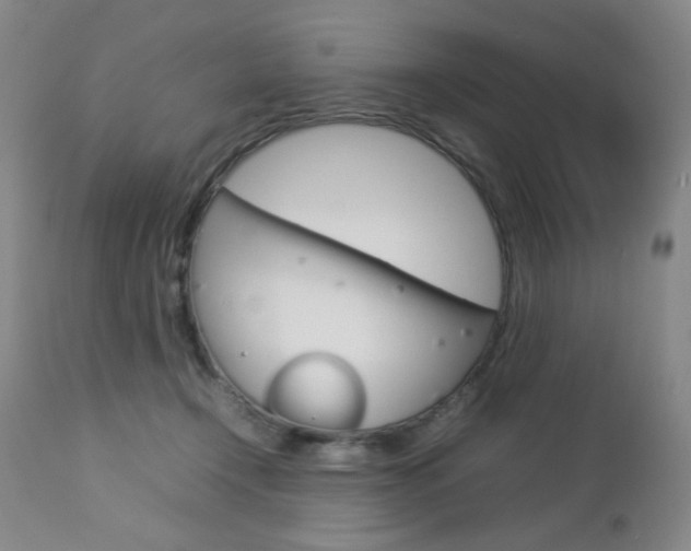 X0000112770366200908201356