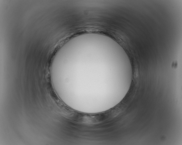 X0000112770367200908201356