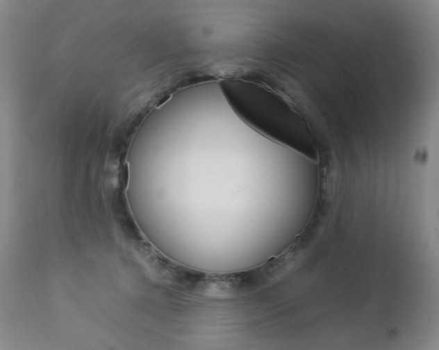 X0000112770368200908201356