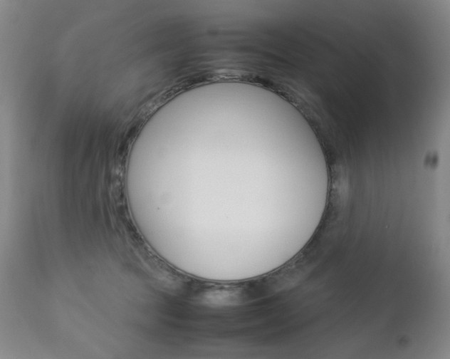 X0000112770369200908201356