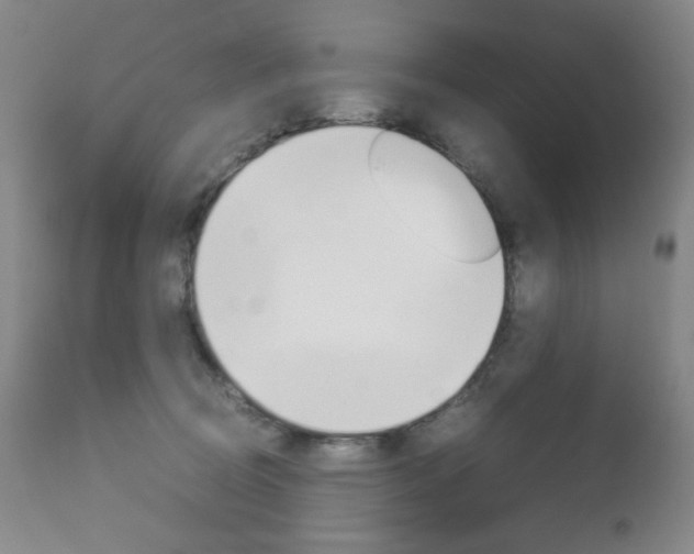 X0000112770370200908201356