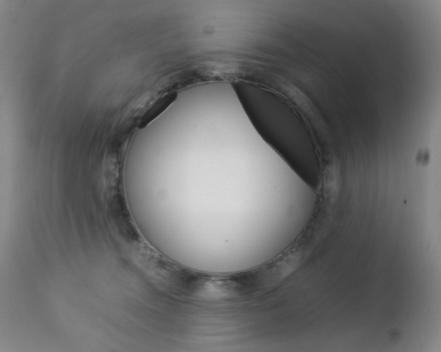 X0000112770372200908201356