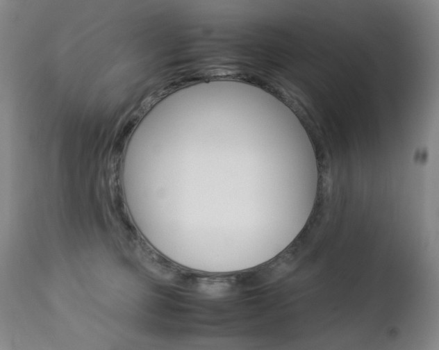 X0000112770373200908201356