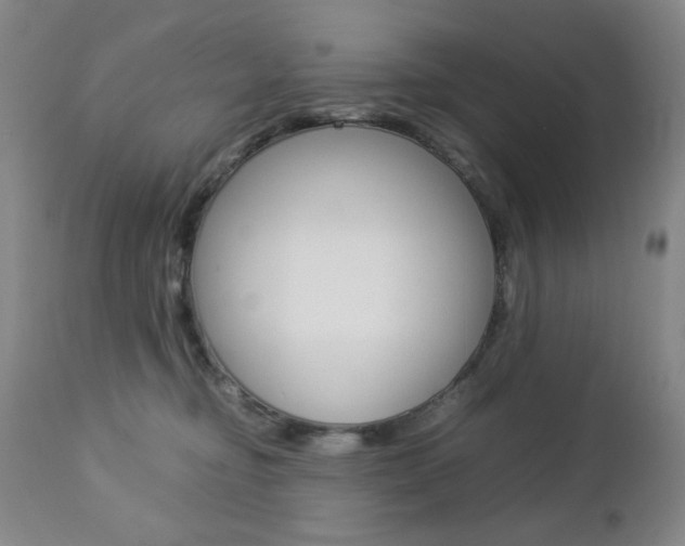 X0000112770374200908201356