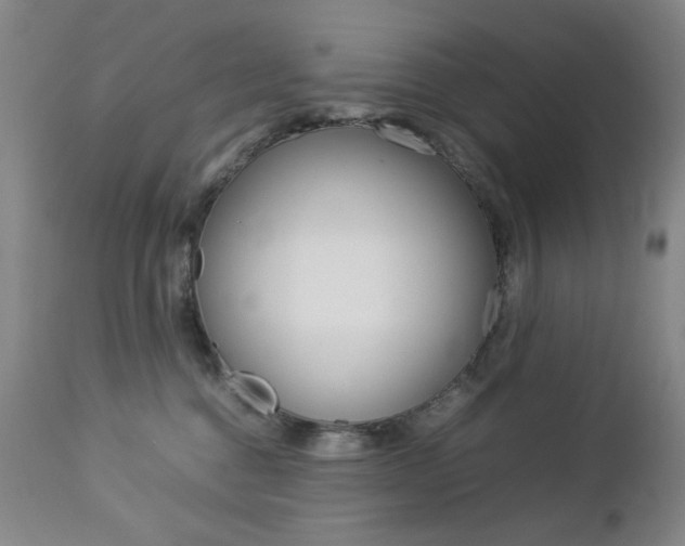 X0000112770376200908201356