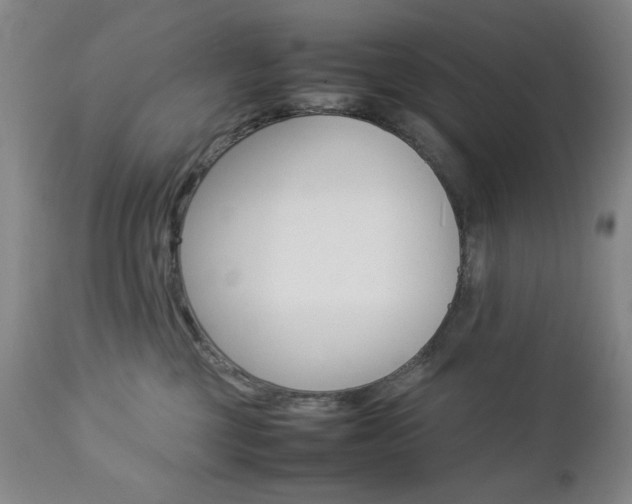 X0000112770377200908201356