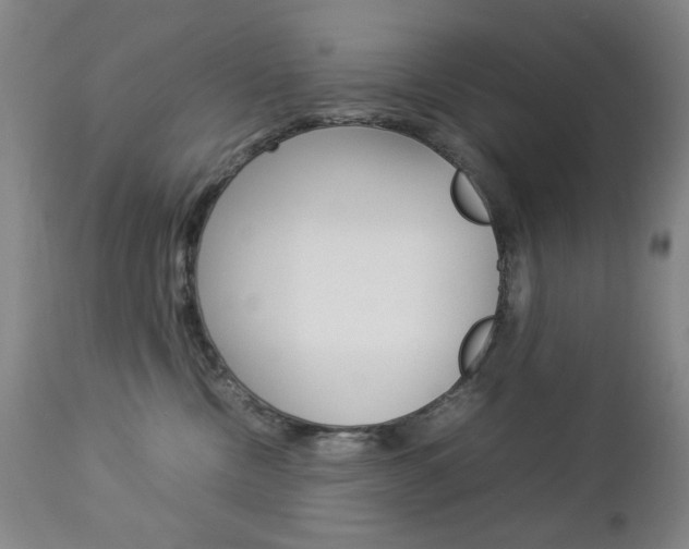 X0000112770378200908201356