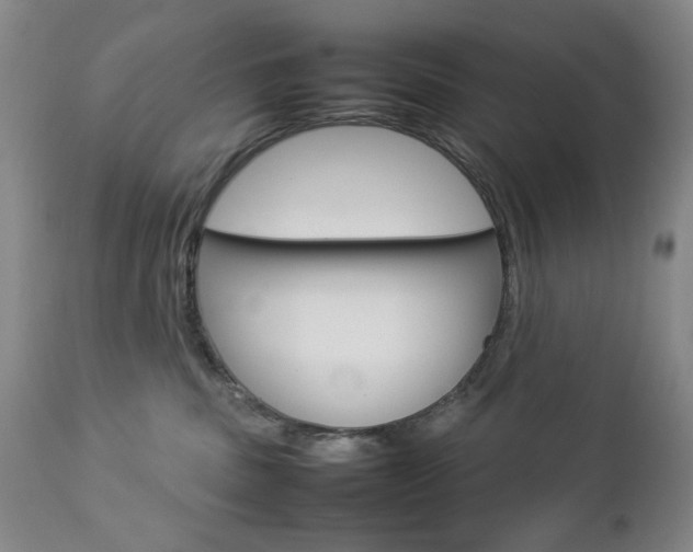 X0000112770379200908201356