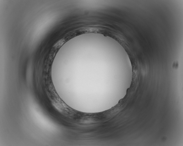 X0000112770381200908201356