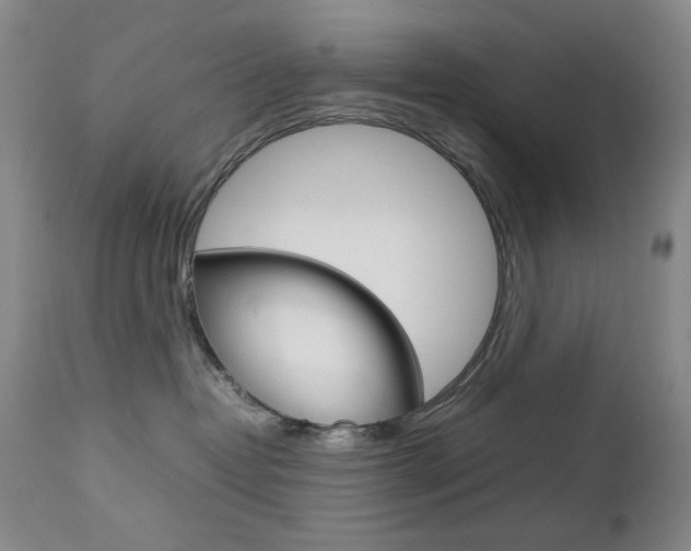 X0000112770382200908201356