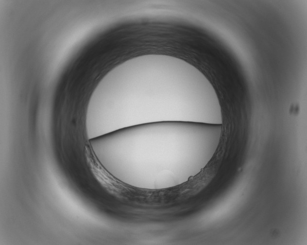 X0000112770383200908201356