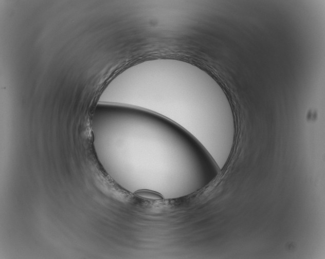 X0000112770384200908201356