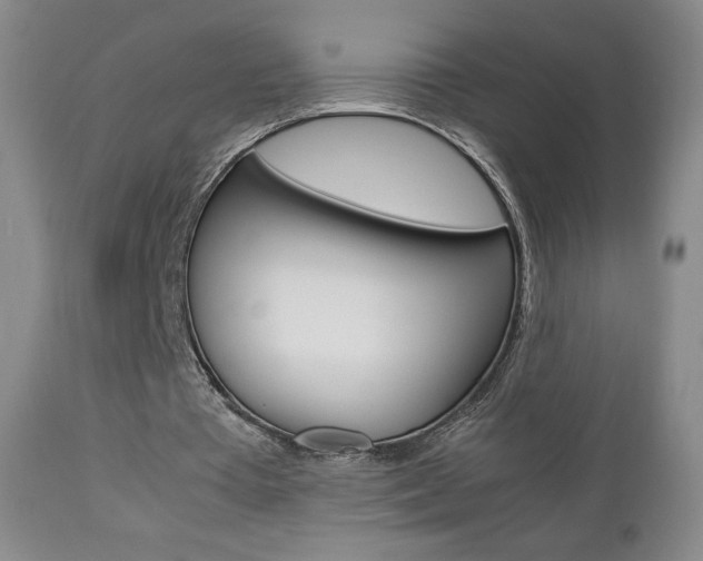 X0000112770385200908201355