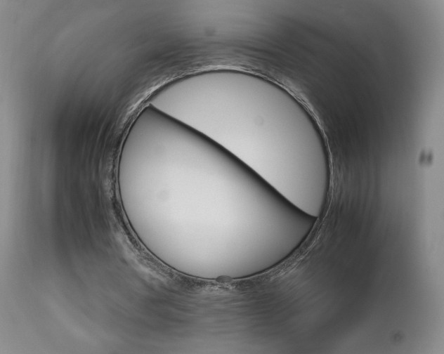 X0000112770386200908201355